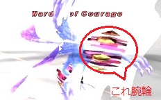 WarderofCourage2.jpg