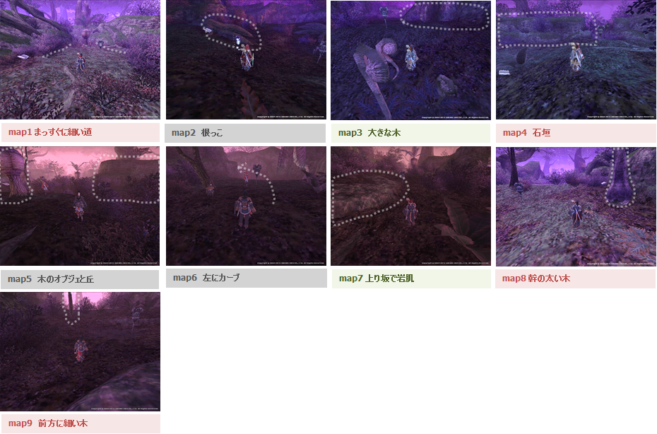 A_Yorcia1.png