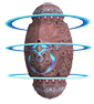 Zdei-rings.png
