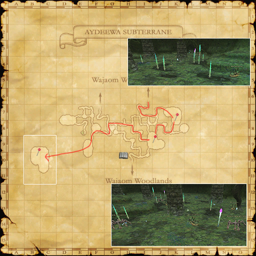 Survey Point