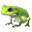 トード