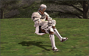 ss12a.png
