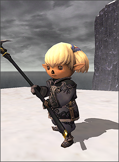 ss1602d.png