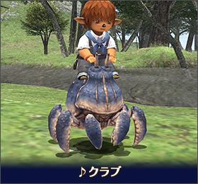 ss1605a.png