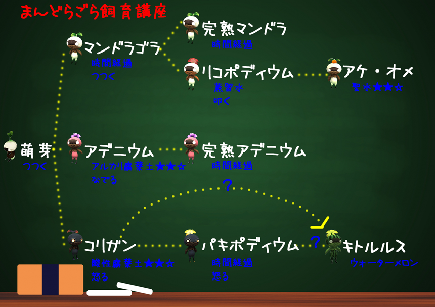 まんどらごら飼育講座(クリックで拡大)