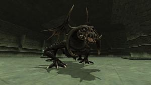 ドラゴンさん