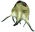 Amoeban.png