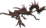 Amphiptere_2.png