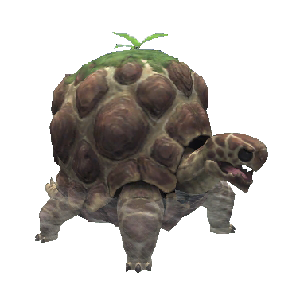 Baby_Adamantoise.png