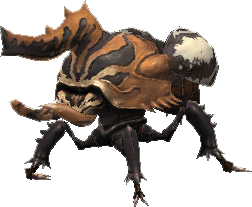 Beetle_3.png