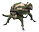 甲虫