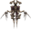 カトゥラエ