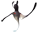 Clionid.png