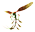 トンボ