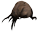 おばけ