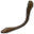 大きな尻尾