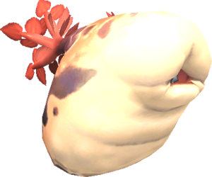 Leech_1.png