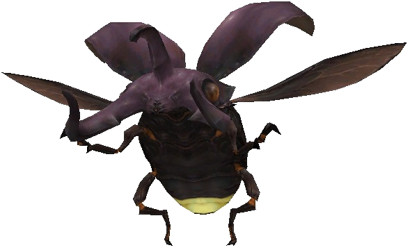 Lucani.png