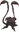 Mitrastema.png