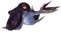 Pteraketos.png
