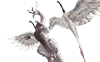 Sajjaka.png
