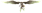 Siren.png