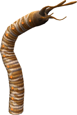 Worm_1.png