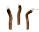 みみず