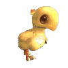 chocobo_01.gif