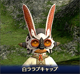 ss1704500pt_ja.png