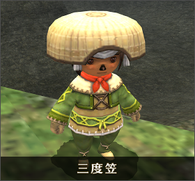 ss2009500pt_ja.png