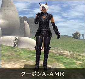 クーポンA-AMR