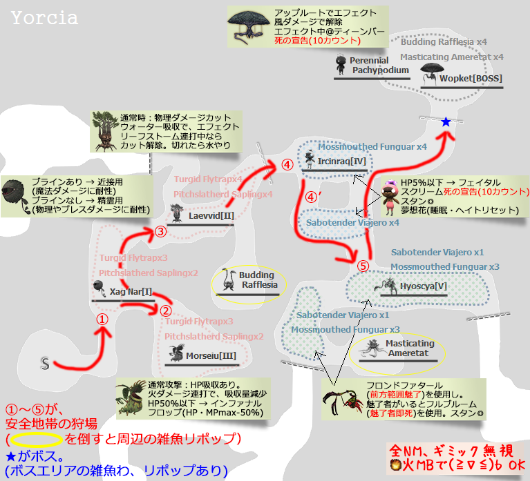 ヨルシア森林