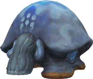 Acuex.png