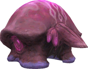 Acuex_2.png