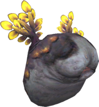 Obdella.png